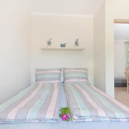 Prywatne Dzika Roza * 다르워보