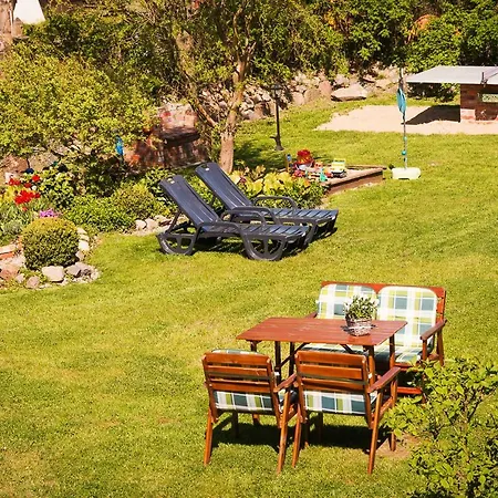 Prywatne Dzika Roza *